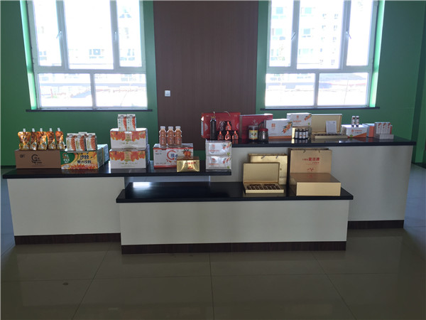 丝路沙棘情，产学共援疆——伟德victor1946与新疆沙棘生产企业举行产学研基地签约挂牌仪式