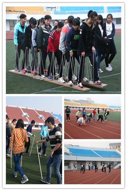 秋风不止，运动不息——药学院顺利举办第一届师生秋季运动会