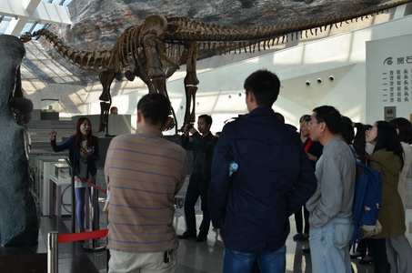 药学院教职工赴中华赏石园、荡口古镇进行文化考察