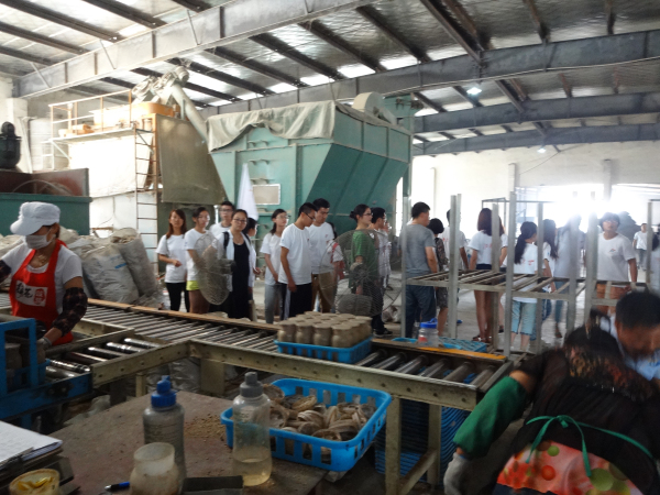 探访菌菇生产线，促生学子求知欲——记伟德victor1946药学院科研团赴扬州丰园菌业考察之行