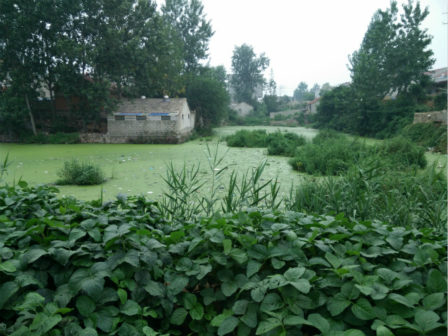 “冰清玉洁”的湖面，我们离你有多远？