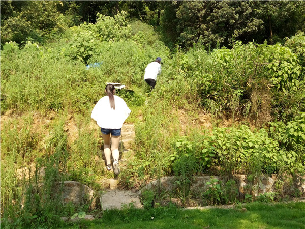 农业帮扶检土质，科技支农论发展——药学院“挥发黑化肥”农田帮扶和土质考察团实践活动