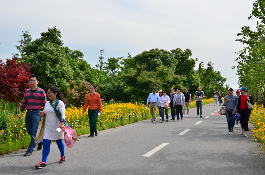 药学院教工开展“快乐行走”徒步活动