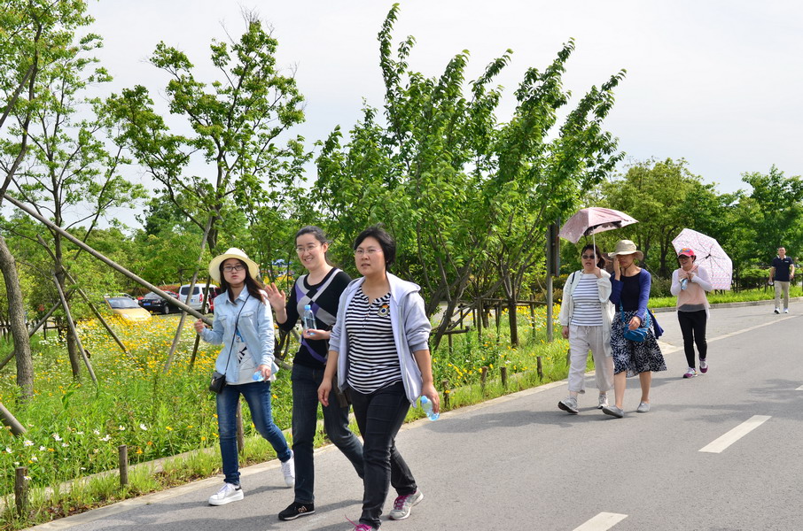 药学院教工开展“快乐行走”徒步活动