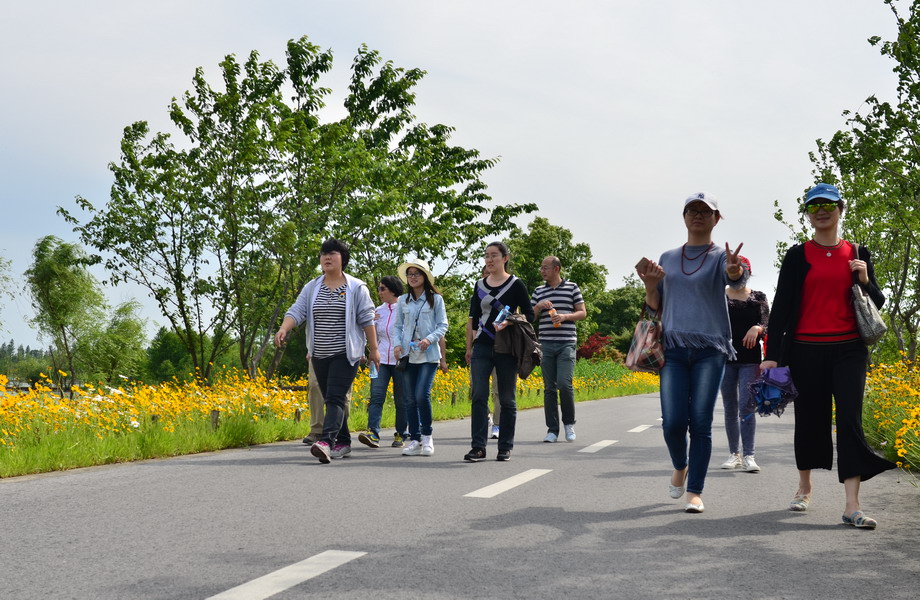 药学院教工开展“快乐行走”徒步活动